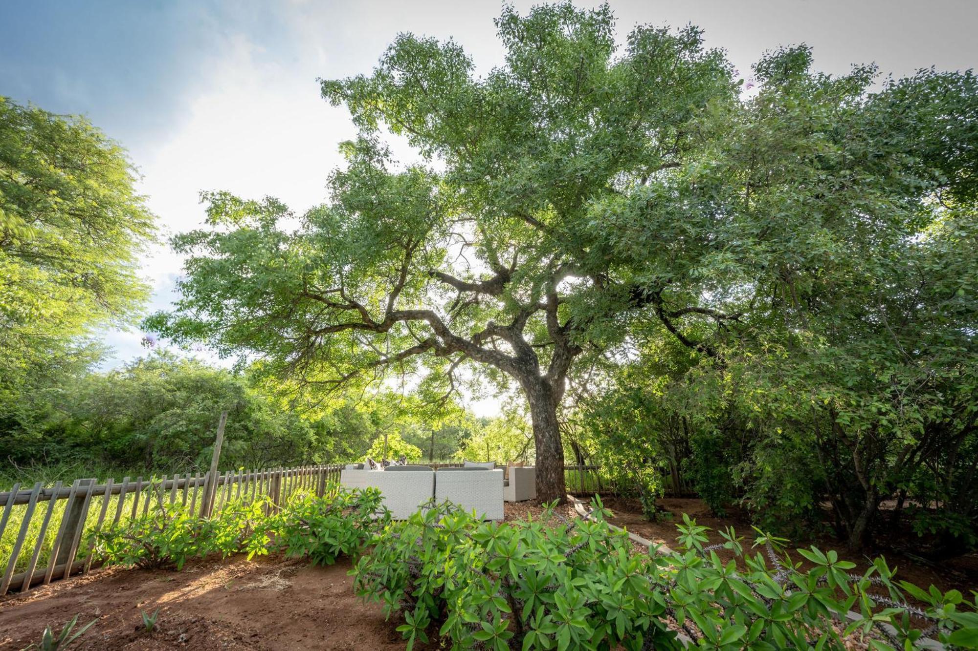Ekhaya Bush Lodge Hoedspruit Exteriér fotografie